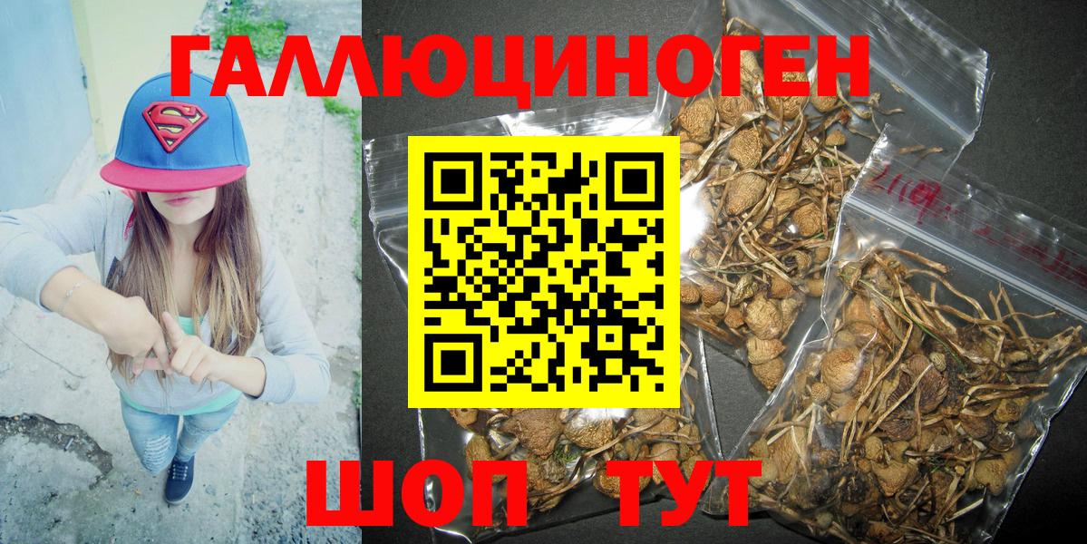 Галлюциногенные грибы Psilocybine cubensis  Галлюциногенные грибы ЛСД  Мелеуз  Вход с VPN 